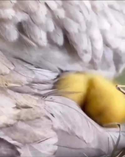 How cute is that? 😍