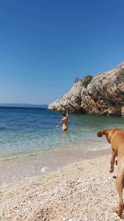 Not afraid of big silly dogs following me