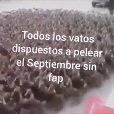 Las Pibas Los Pibes Las Pibas Los Pibes Las Pibas Los Pibes Las Pibas Los Pibes Las Pibas Los Pibes