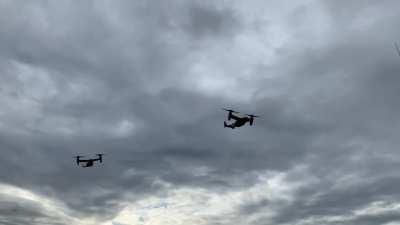 I had Ride of the Valkyries in my head as they flew over.