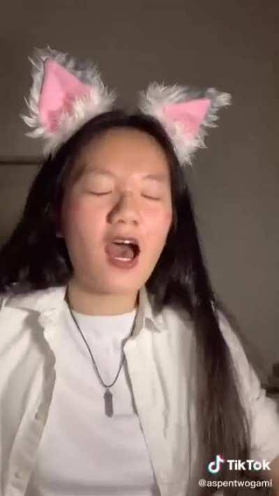 Half furry aka “I can’t afford more than ears atm”