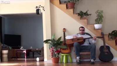 WCGW being an ass to your cat