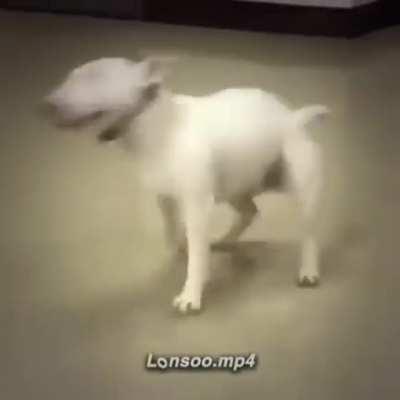 Blursed_round round round