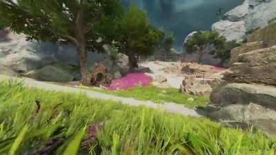 I removed the HUD and it makes Apex so beautiful