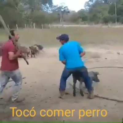 Estoy feliz y enojado >:)