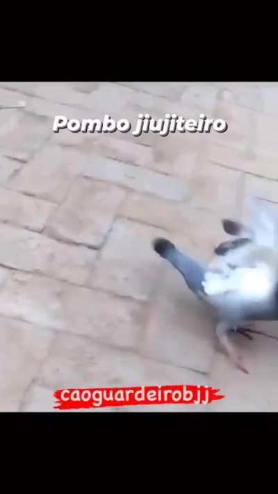 [Shitpost] No-Hand Kata Guruma Into Yoko Shiho Gatame