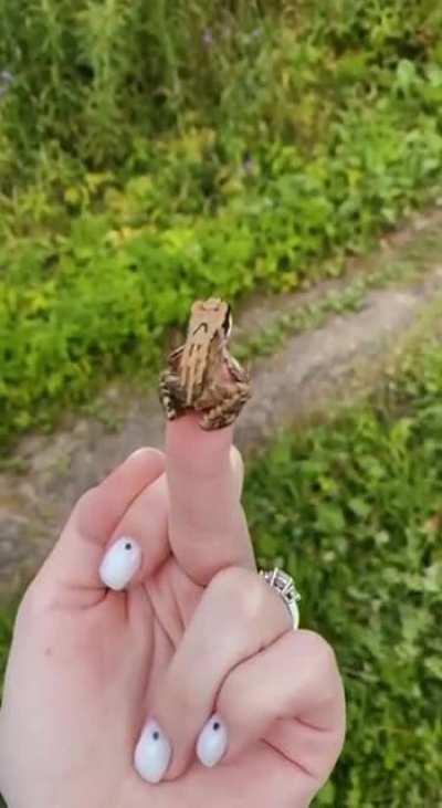 так и задумывалось