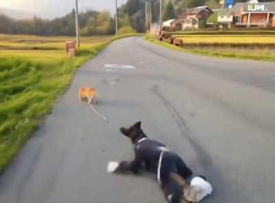 Average day in Japan