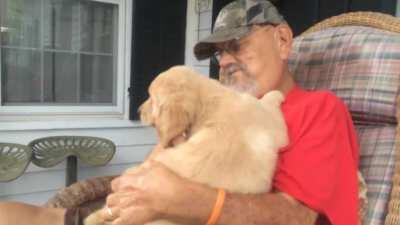 Whenever I’m feeling down I rewatch this video...surprising my old man with his golden (he passed away months after this video was taken) but I’m positive Harper extended the days of his life...Harper is my dog now and his love lives on thru her onto me