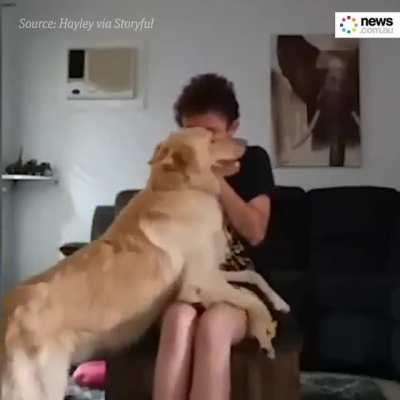 Amazing dog