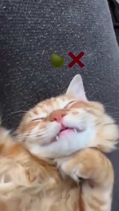 What a perfect demonstration of 