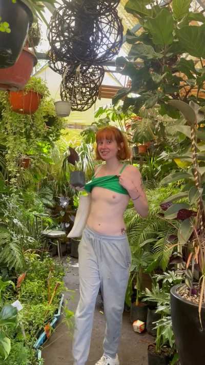 flashing plants