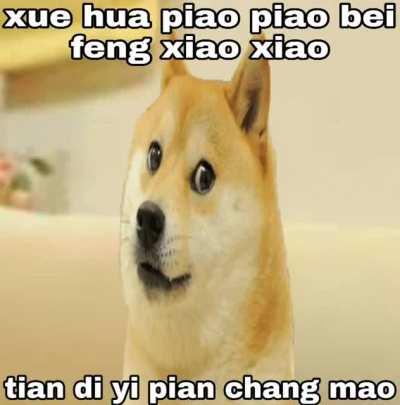 Egg gang rise up 😤😤😤