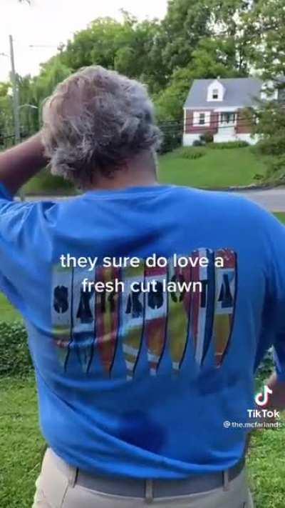 I just got this one sent to me. It's definitely bumping.