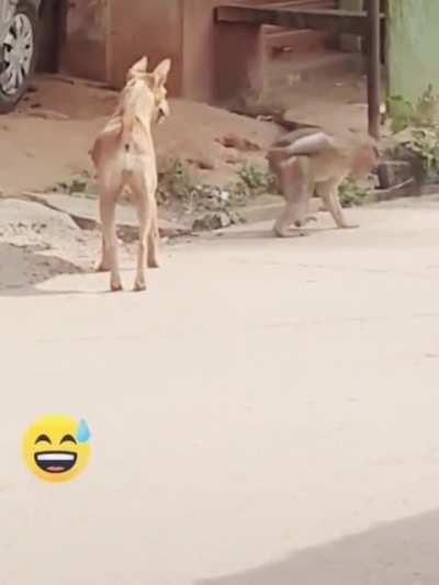 He knows what to do...