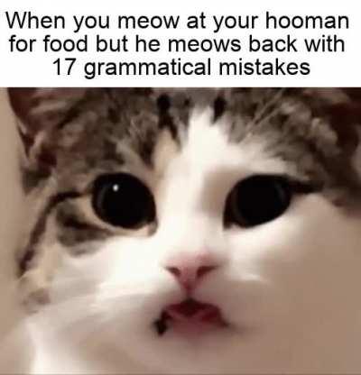 Hooman, your grammar is atrocious