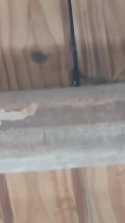 A un mendocino se le derritió la casa por las altas temperaturas