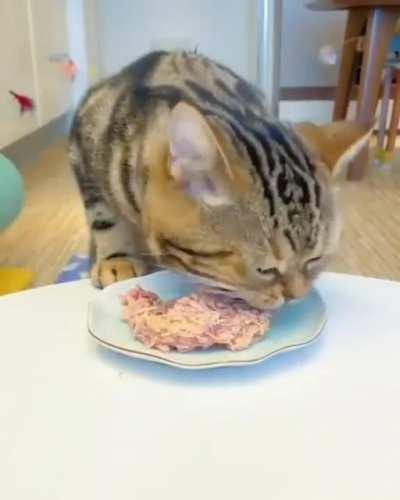 Hungry hungry hungry hungry hungry .... !