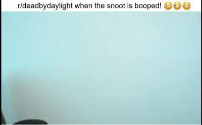 i want to boop the snoot! 🥵🥵🥵🥵🥵🥵🥵🥵