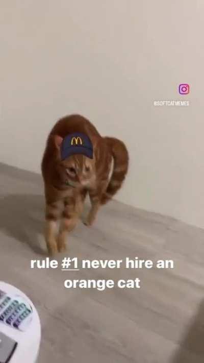 Orange working at your local McDonald’s 