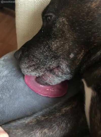 Ivy and her advanced lick