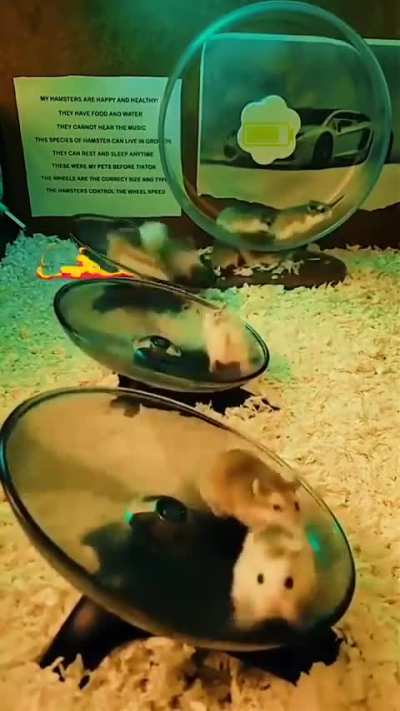 Behold the power source behind Eagle Dynamics Servers