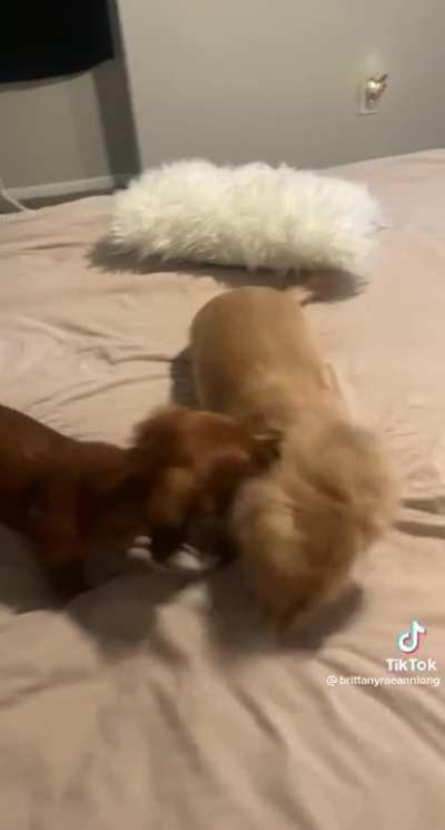 Man's fighting for his life over here.