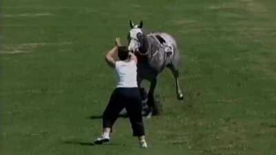 Trying to block a horse way