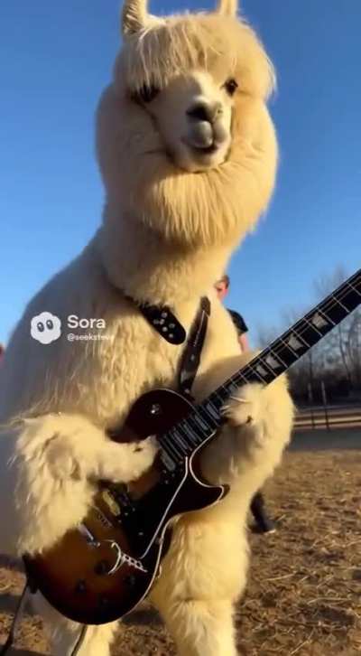 [HELP] is this ai? idk because usually alpacas play the drums