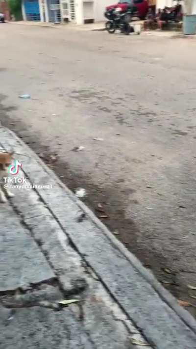 What do you call this move?