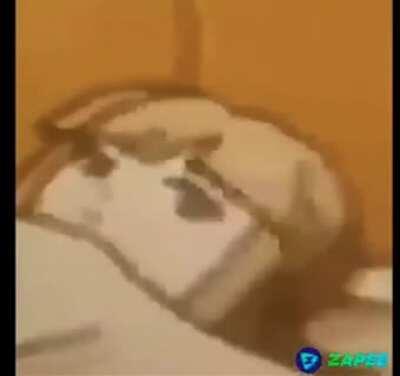 HUEstation - Video #0397