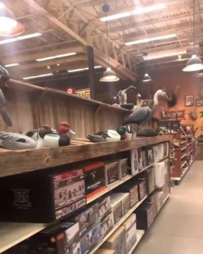 When you're good at your job but kind of dumb at the same time