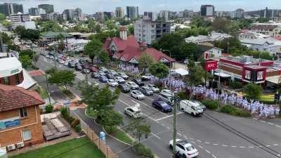 Group of dudes dressed as storm troopers off to the cricket 🎺🎺