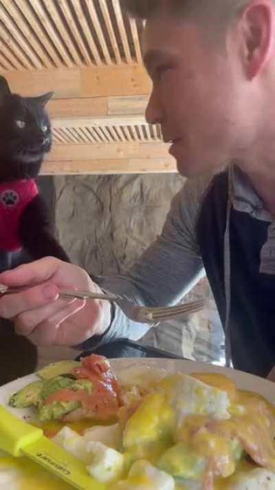 “Everything you eat... everything you drink... I’ll be watching you