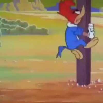 Ok sabidinho, você que pediu