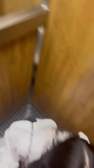 Getting them sucked in the elevator