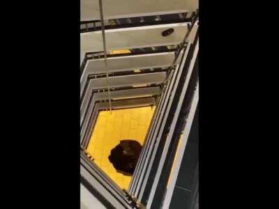 Man falls through the floor while trying to evade police officers.