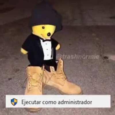 Ejecutivo en administración