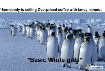 Over priced coffees and . . .