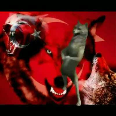 İsminin sonuna tr koyunca olur gibi