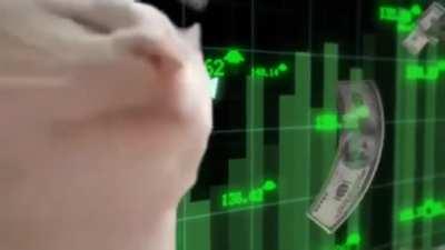 Mood AF 🦍🦍🦍🚀🚀🚀🚀