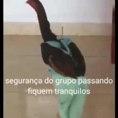 fiquem tranquilos, segurança passando 👨‍✈️