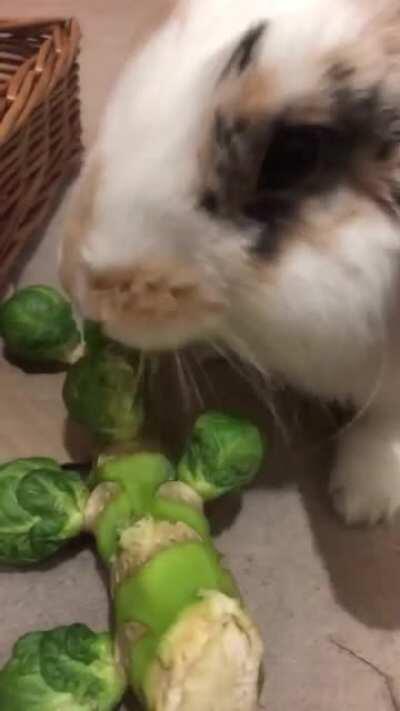 He goes crazy for Brussels sprouts ✨