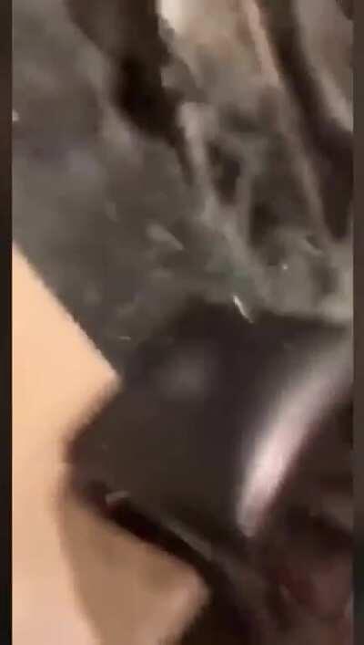 Were on your side bro( with added pong)