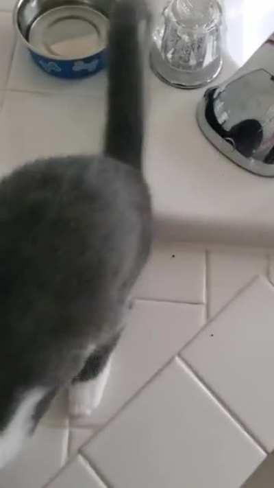 Inmate demands to get fed.