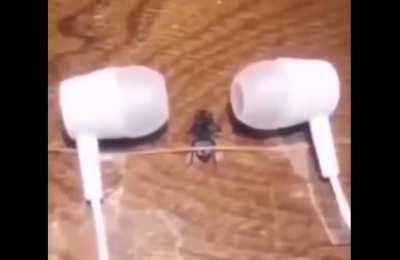 GOD i wish that were me