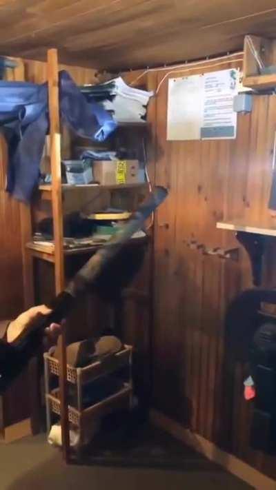 Ahhhrgggg 🏴‍☠️🦜