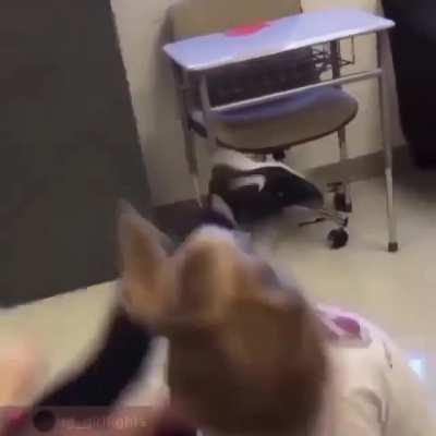 What's good bitch! Fight in classroom