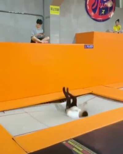 Athletic Suddenly gay