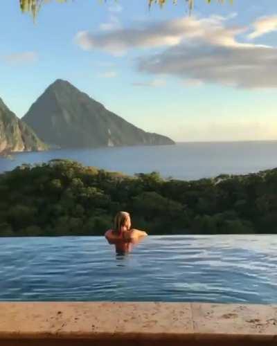 Oh cmon, there is even a bird..